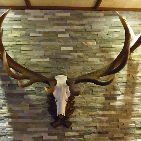 Sportalm Gipfelglück Hotel